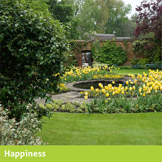 Survey of poverty, hunger, hope and happiness-pic2